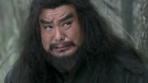 三国经典语录:这大哥不做盟主难道我张飞做?袁术:叉出去!