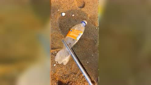 大海发现小哥来退潮,不巧赶海一条八爪鱼,太a大海了!ofois蚂蚁金服图片