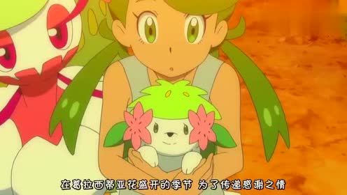 神奇宝贝收服梦幻神奇宝贝,雪米出现!精灵宝可梦日月