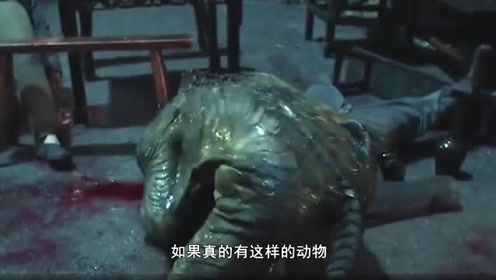为什么"水猴子"又叫"水鬼"?