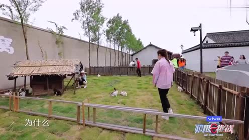 极限挑战:罗志祥上演老虎版小猪抓真猪,迪丽热巴翻遍兔窝找青蛙看图写春天现实刺猬钥匙图片