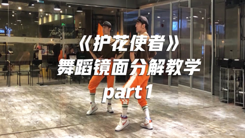 教学版《护花使者,舞蹈镜面分解part1