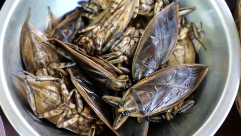 泰国人吃蟑螂,放在架子直接烤,游客:又是吃蝙蝠那帮人?