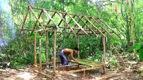 荒郊野外选块好地,大叔用竹子搭建庇护所,这是真的打算隐居吗?