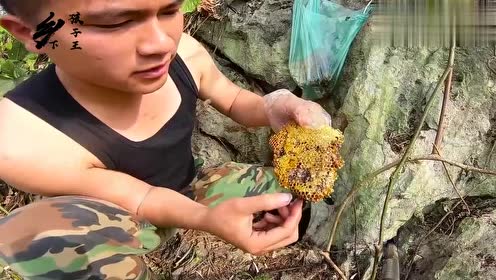 在石洞中发现一窝野蜜蜂,废了好大的力气才把蜂蜜取出来!