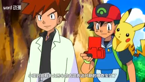 神奇宝贝 小智和小茂谁的实力更强