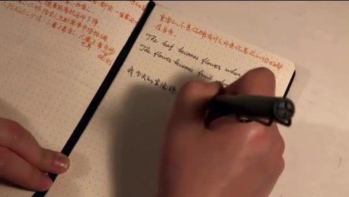 我今天的生活，绝不是，我昨天生活的冷漠抄袭