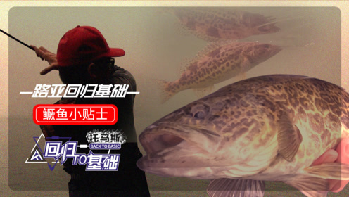 回归基础第三期斑鳜小贴士