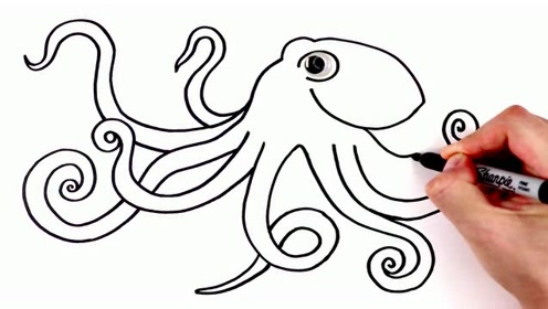 章鱼图像绘画
