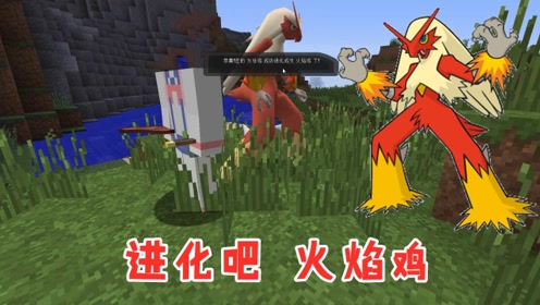 我的世界神奇宝贝:力壮鸡成功进化火焰鸡,火系格斗大师登场!