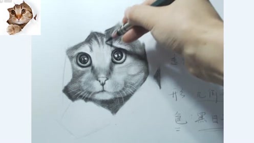 素描动物最难画的是毛发?学会这一招,从此摆脱手残党