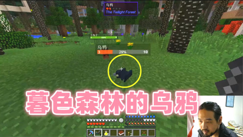 我的世界疯狂原始人35 暮色森林的乌鸦,在这里就能找到