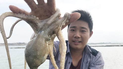 兴哥赶海抓到隔年老章鱼,运气好到爆了,老婆孩子有口福了