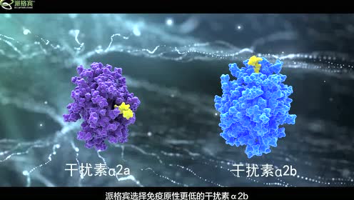 全球第三代长效干扰素派格宾