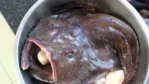 胶东大码头 刚买的大嘴鱼 海边的朋友来看看 这是什么鱼