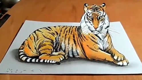 用纸笔画出3d坐卧的老虎?简直太厉害了!