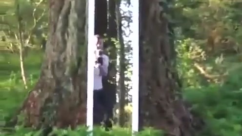这是魔术吗？感觉就像走进镜子里面一样，太神奇了