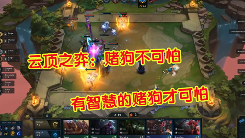 云顶之弈:赌狗不可怕,有智慧的赌狗才可怕,你知道怎么理财吗