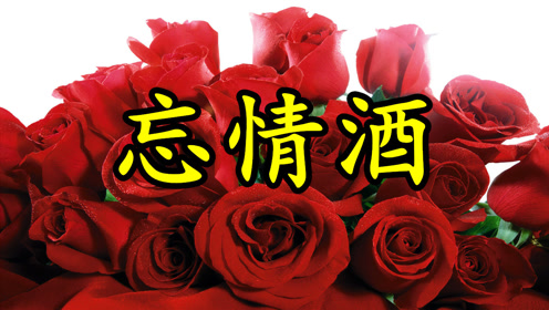 一首《忘情酒》mv,你说过真心相爱陪我到永久
