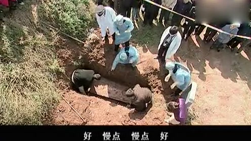女法医开棺验尸,怎料棺材里的景象让她变脸