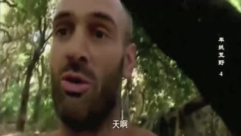 惹不起躲得起