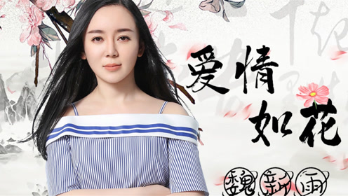 魏新雨,新情歌:不怕人笑我笨笑我傻,你就是我最爱的玫瑰花