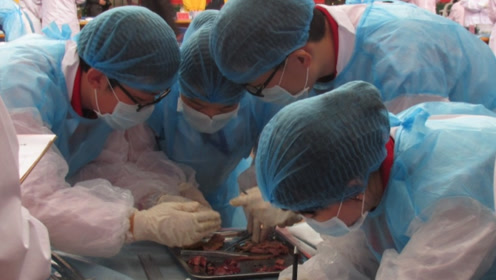 医学用于解剖的尸体,到底是哪里来的?主要有这3个途径