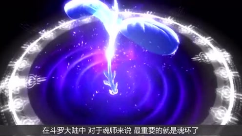 斗罗大陆-红色魂环都是白菜!唐三昊天锤9环全红,成为大陆最强的传说!