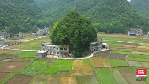 大船被侧推入水,浪花冲上路面,太刺激了!