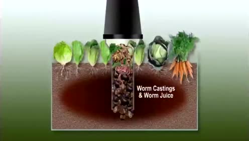 如何制作蚯蚓堆肥塔-杰夫罗顿
