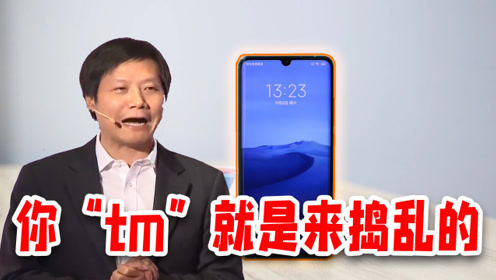 你就是来捣乱的!