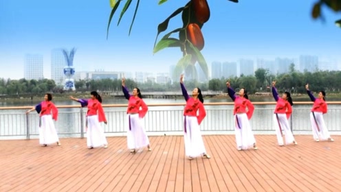 爱吾广场舞《红枣树》背面演示