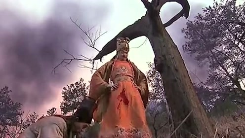 崇祯皇帝上吊的那棵歪脖树,距今300多年过去了,它现在怎样了