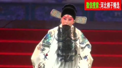 河北梆子《辕门斩子》王琳名家名段演唱会演唱