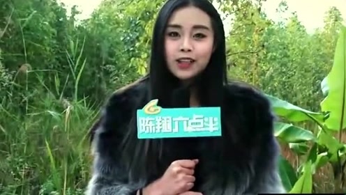 陈翔六点半:美女采访长寿村的秘密,大爷你这是成精了吧!