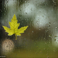 昨天·今天·下雨天(热度:480)由寸草心翻唱，原唱歌手彭家丽