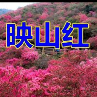 映山红(3D版)(热度:78)由天山雪莲云辉翻唱，原唱歌手宋祖英