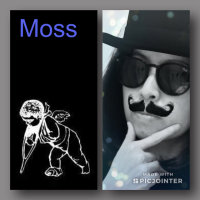 Moss的头像