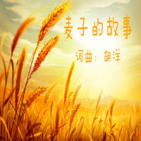 麦子的故事(热度:26213)由清海慕沙ོ翻唱，原唱歌手胡洋