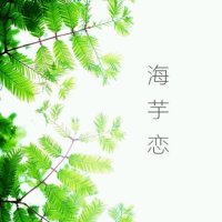 海芋恋(热度:103)由香蕉<Bobby>翻唱，原唱歌手萧敬腾