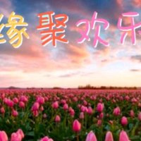 北京的金山上(热度:21)由茉莉花翻唱，原唱歌手周艳泓