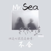 不走(热度:35)由Mr.Sea翻唱，原唱歌手杜德伟