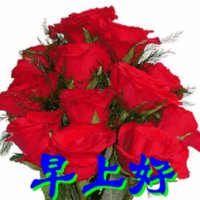花儿为什么这样红(热度:68)由lin翻唱，原唱歌手巴哈尔古丽