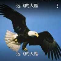 远飞的大雁(热度:71)由天山雪莲云辉翻唱，原唱歌手刘紫玲