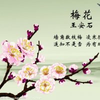 谁说梅花没有泪(热度:226)由中国电信翻唱，原唱歌手张津涤/陈瑞