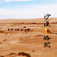 沙漠骆驼(Live)(热度:52896)由羽翎隔屏寻声～翻唱，原唱歌手展展与罗罗