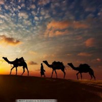 沙漠骆驼(热度:1795)由妞妞翻唱，原唱歌手展展与罗罗
