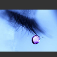 蓝眼泪(无和声版)(热度:1261)由梅朵翻唱，原唱歌手杨蔓