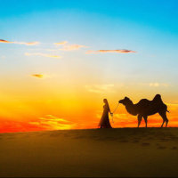 沙漠骆驼(热度:150)由BY秋水伊人翻唱，原唱歌手展展与罗罗