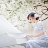 雨夜钢琴(热度:34)由乐乐翻唱，原唱歌手林志美